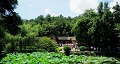 長沙出發(fā)到花明樓、韶山、張家界國家森林公園、天門仙山國家森林公園四日游